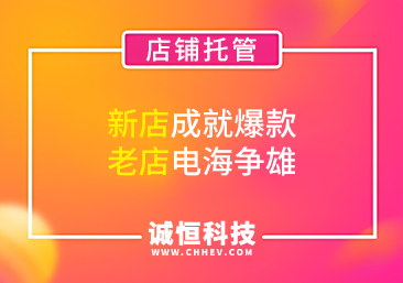 店铺代运营服务